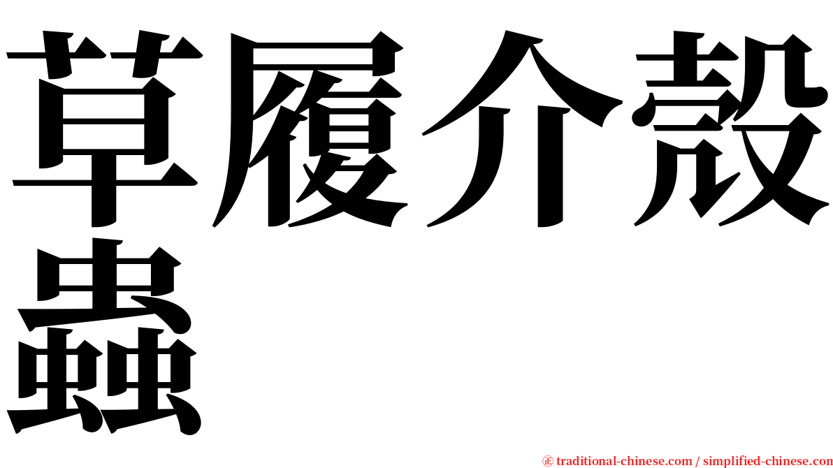 草履介殼蟲 serif font