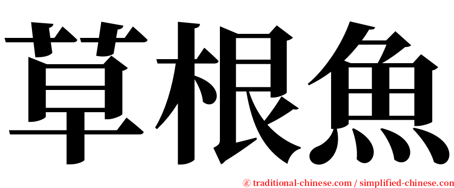 草根魚 serif font