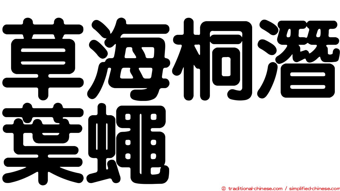 草海桐潛葉蠅