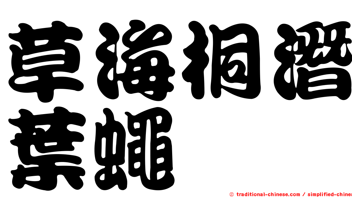 草海桐潛葉蠅