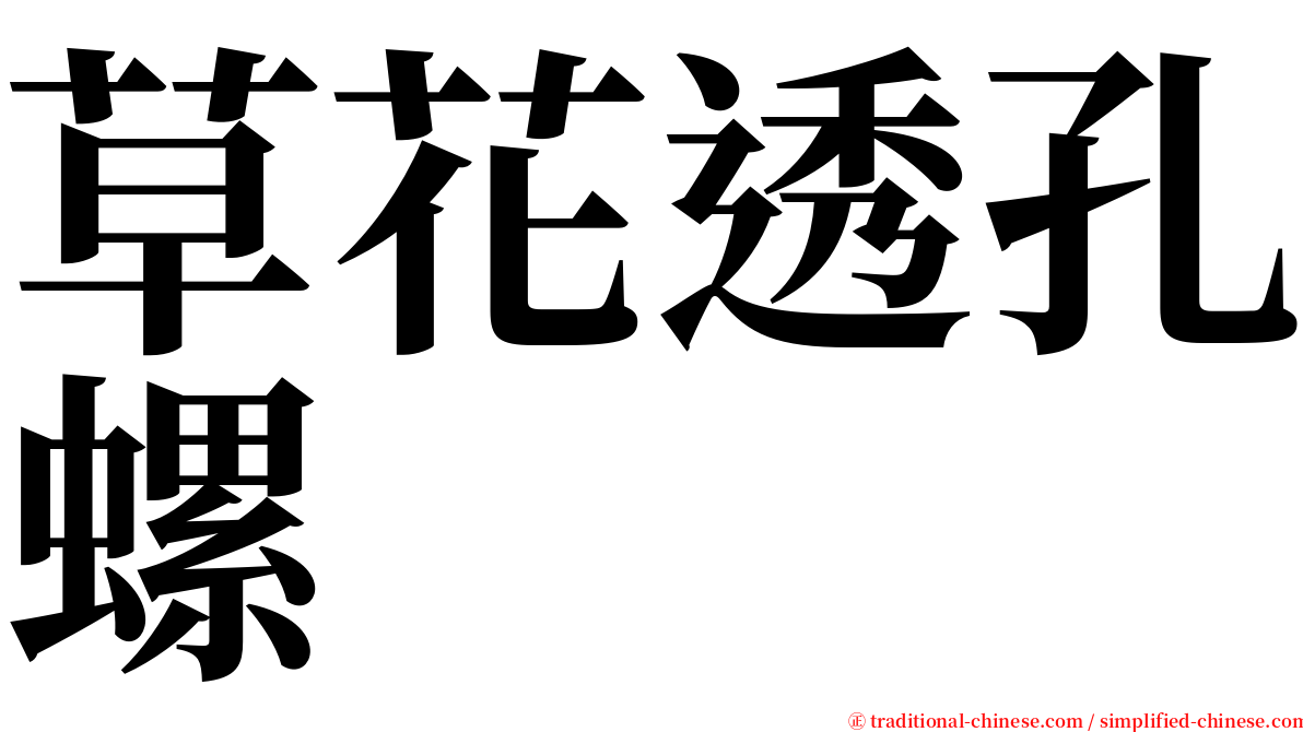 草花透孔螺 serif font