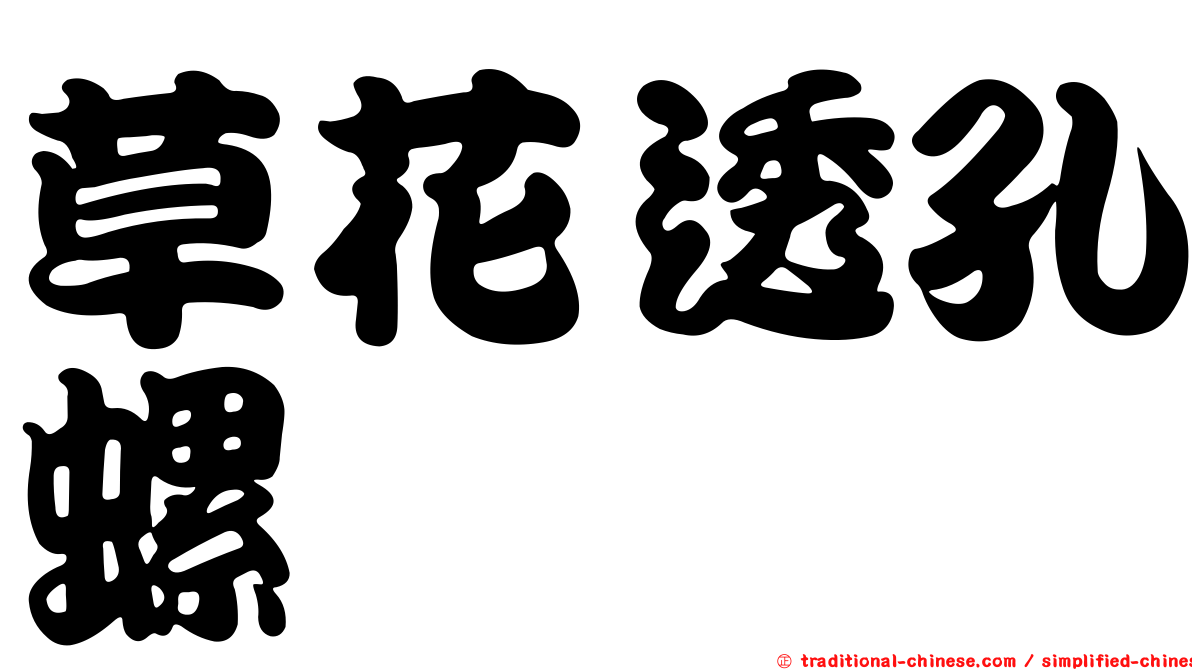 草花透孔螺