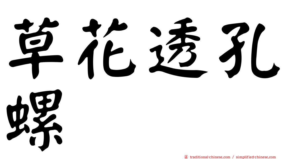 草花透孔螺