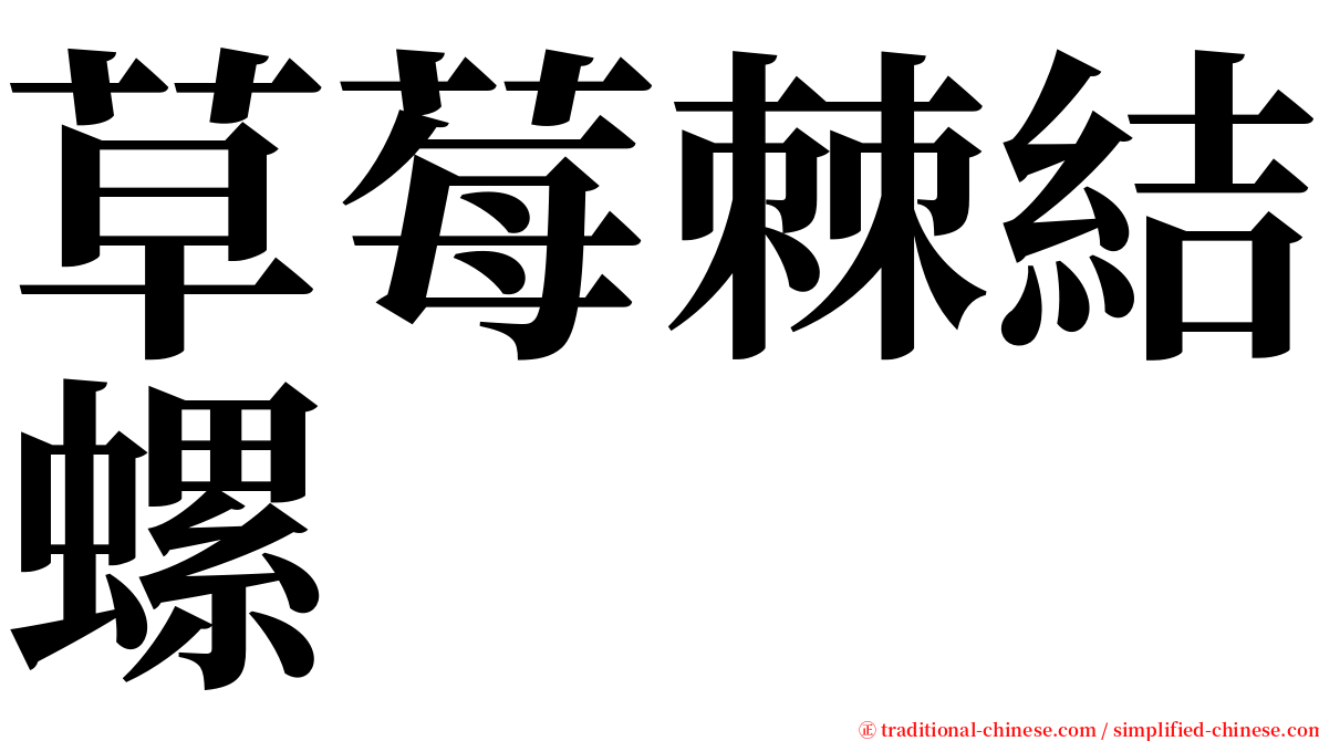 草莓棘結螺 serif font