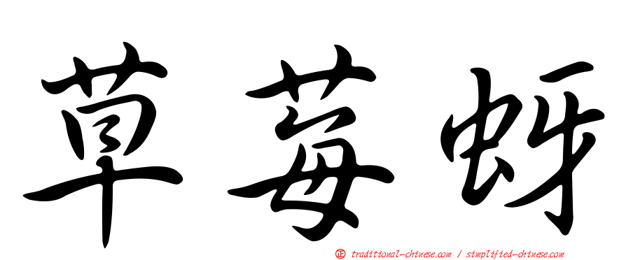 草莓蚜