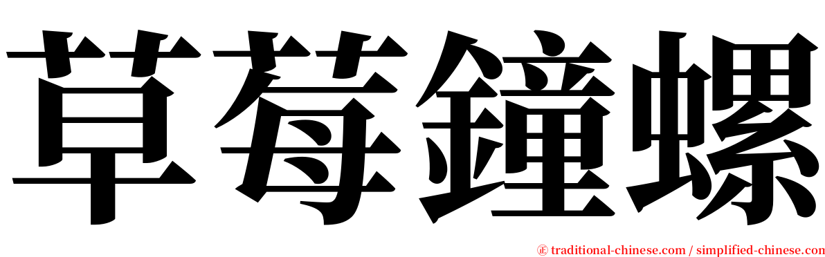 草莓鐘螺 serif font