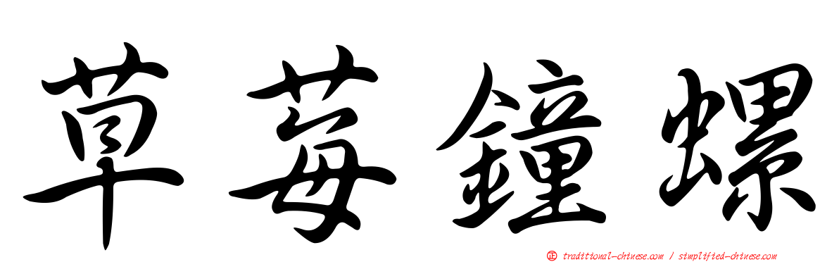 草莓鐘螺