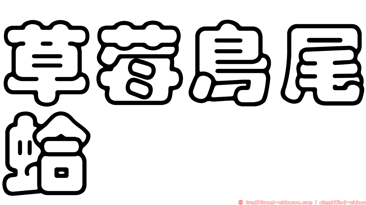 草莓鳥尾蛤