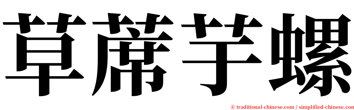 草蓆芋螺 serif font