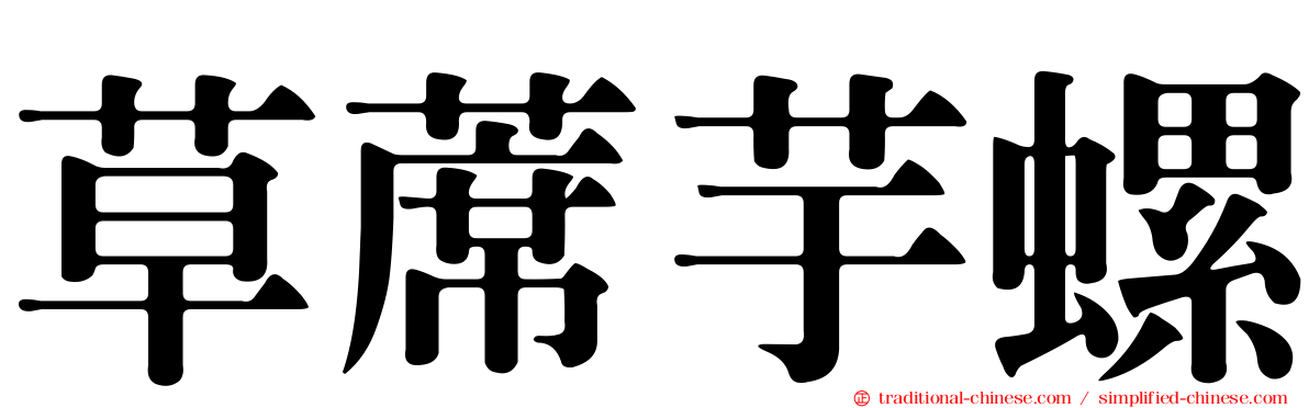 草蓆芋螺