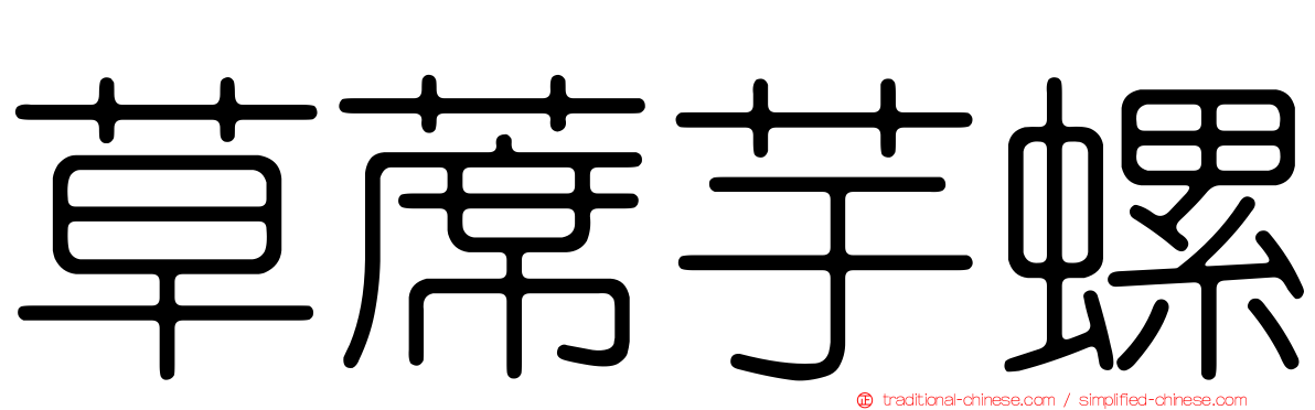 草蓆芋螺