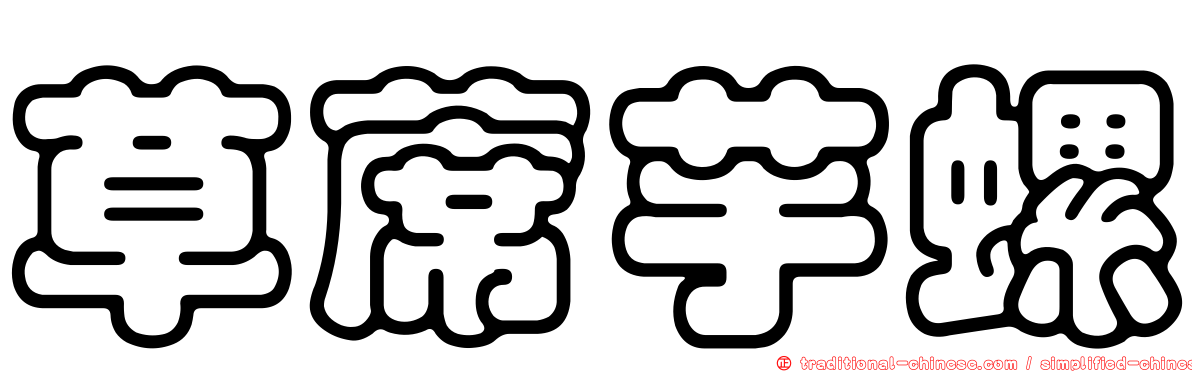草蓆芋螺