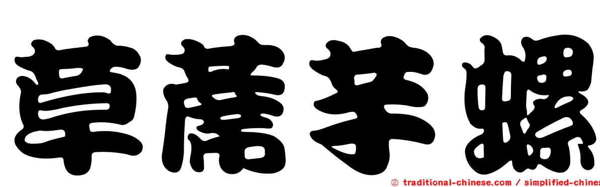 草蓆芋螺