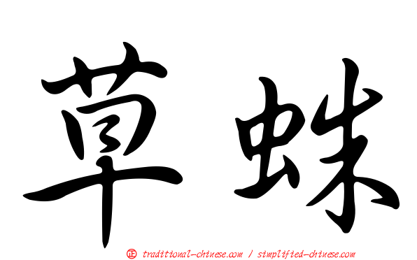 草蛛
