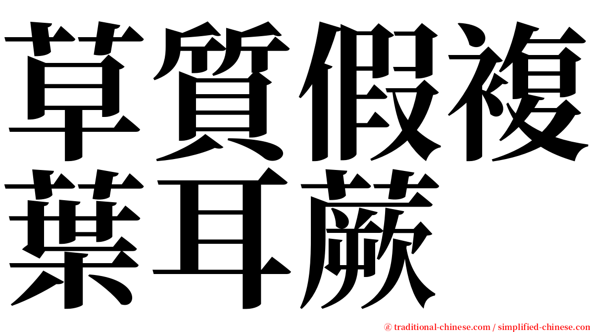 草質假複葉耳蕨 serif font