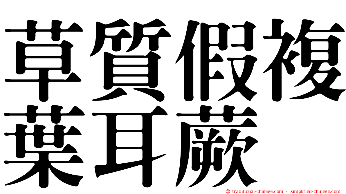 草質假複葉耳蕨