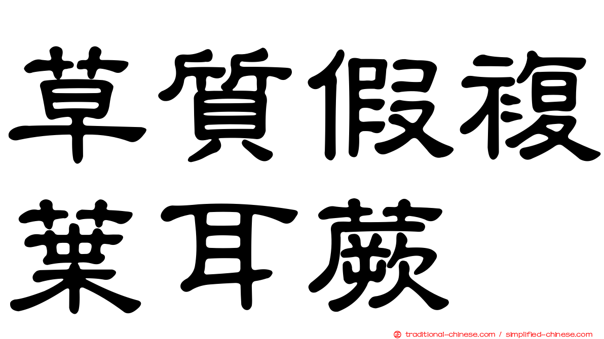 草質假複葉耳蕨