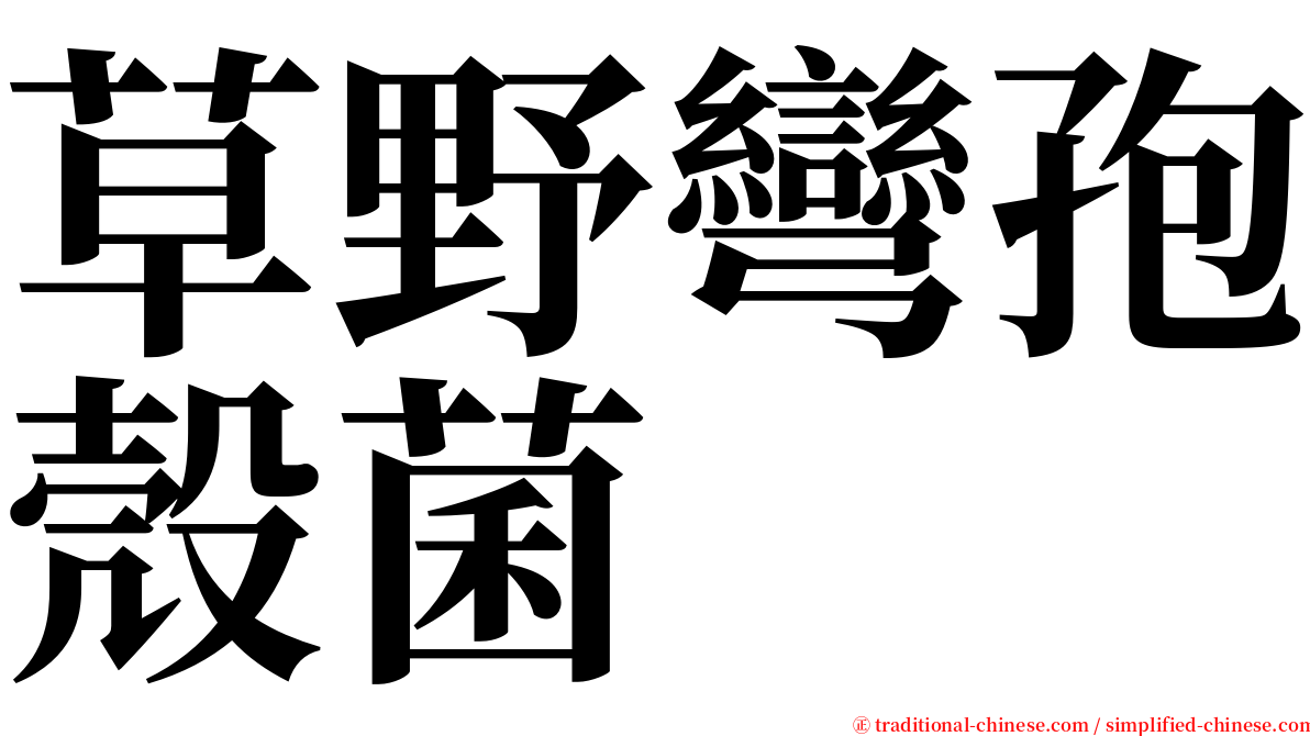 草野彎孢殼菌 serif font
