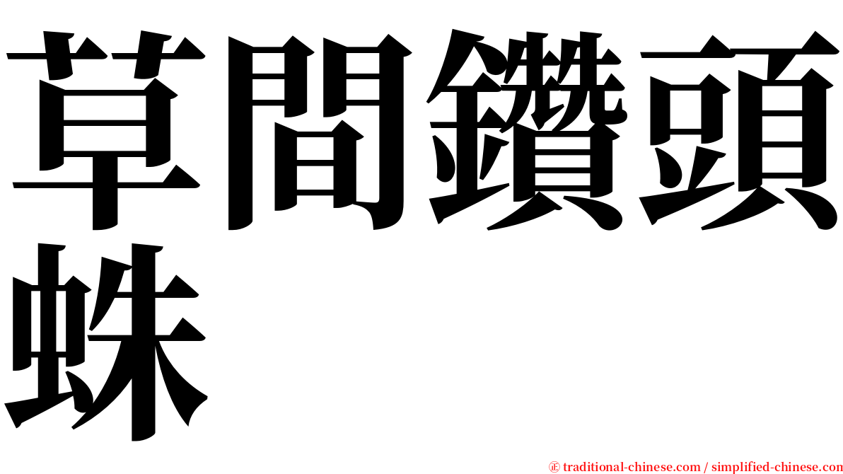 草間鑽頭蛛 serif font