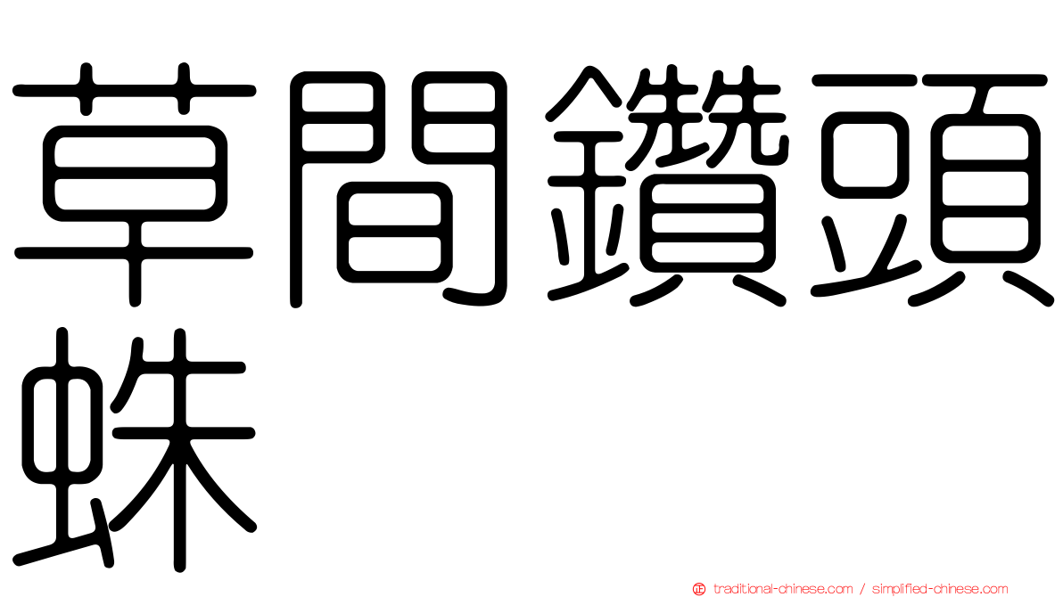 草間鑽頭蛛