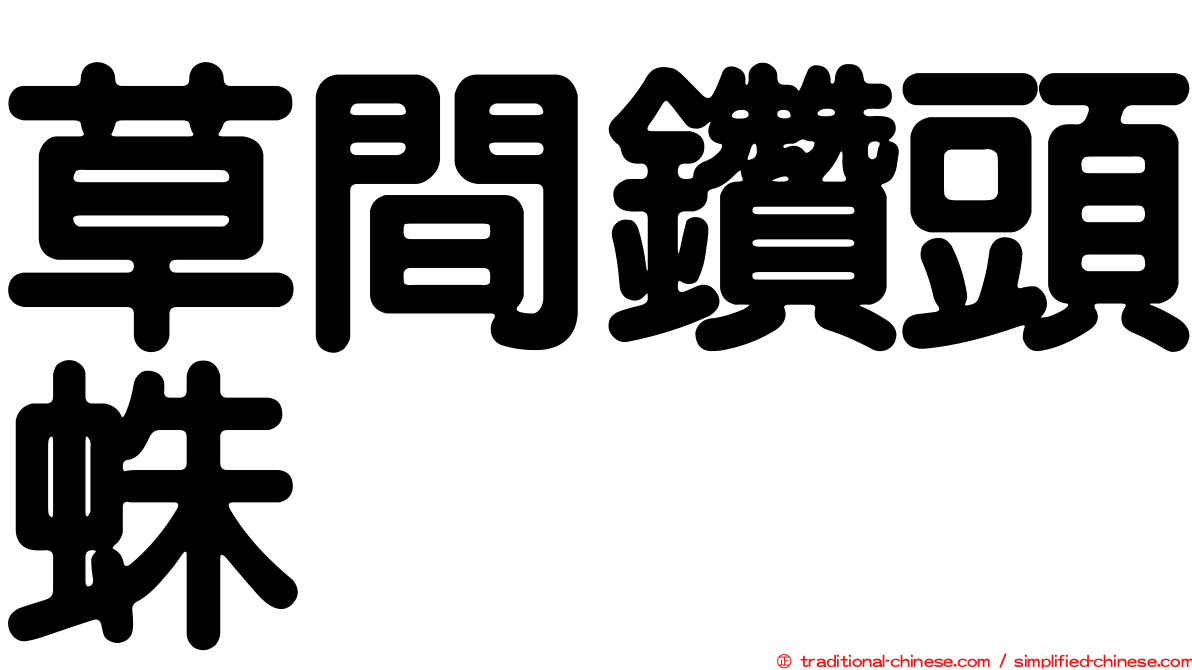 草間鑽頭蛛