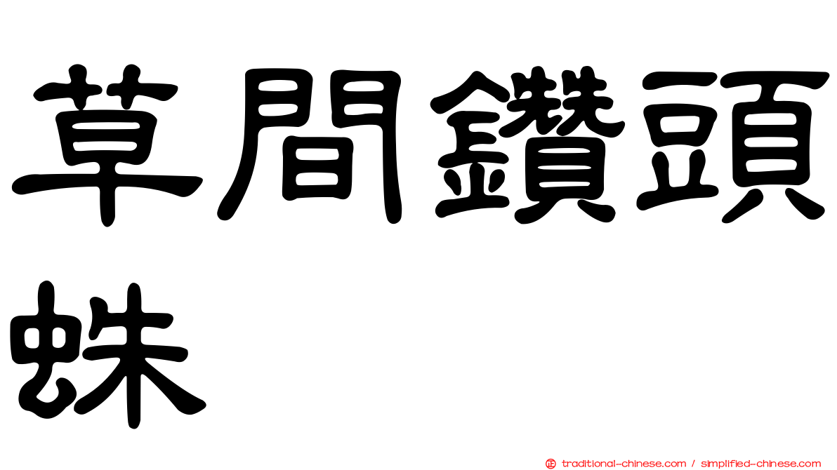 草間鑽頭蛛