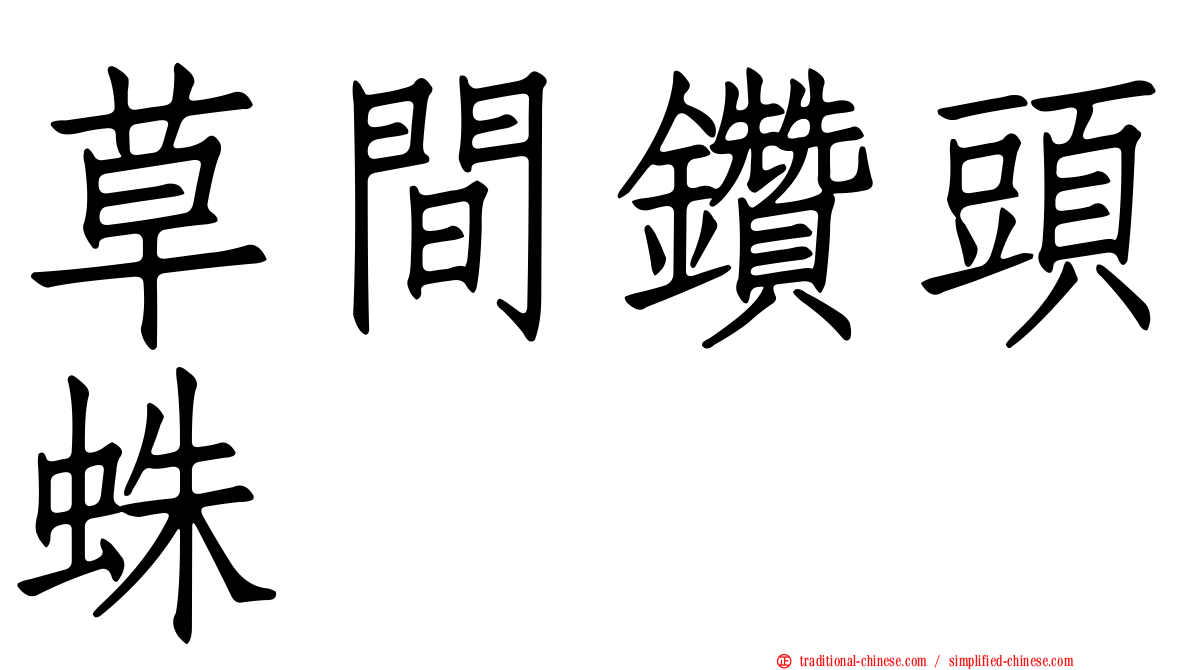草間鑽頭蛛