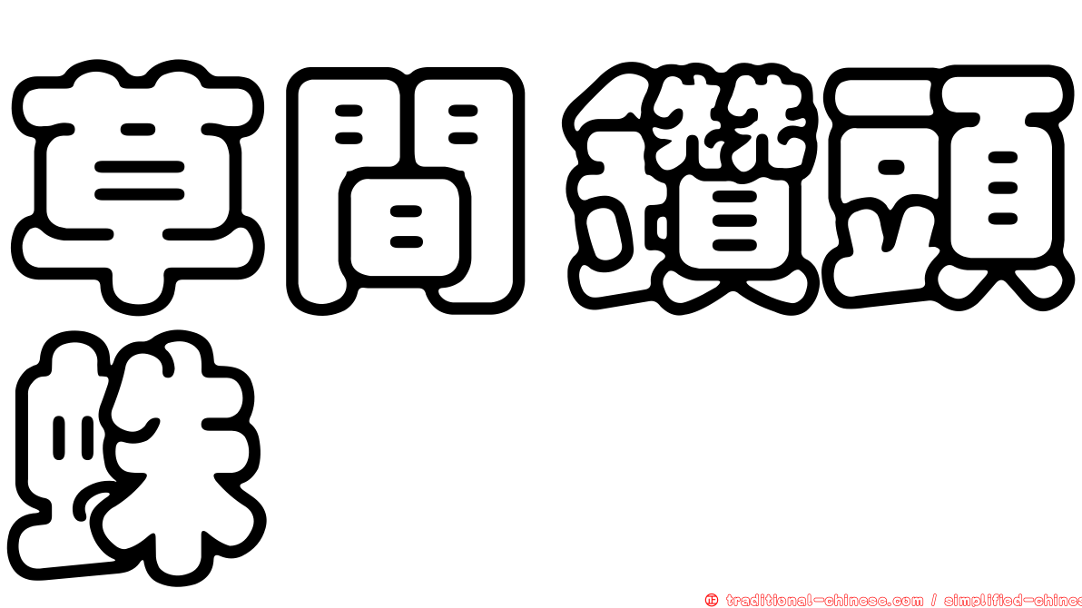 草間鑽頭蛛