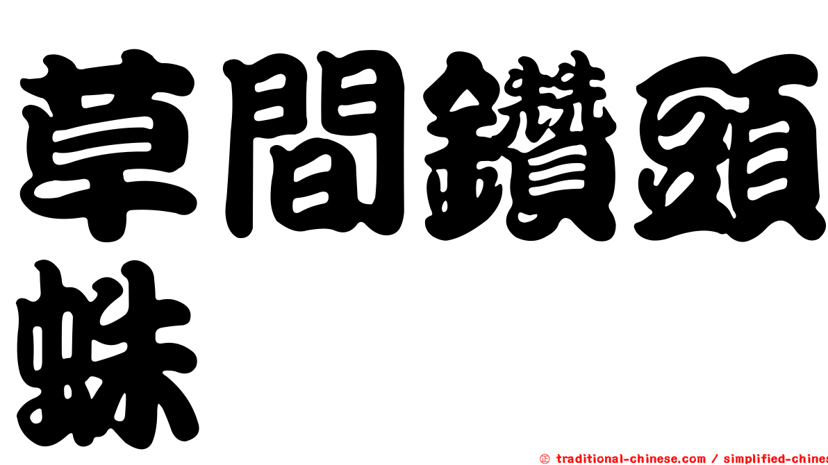 草間鑽頭蛛