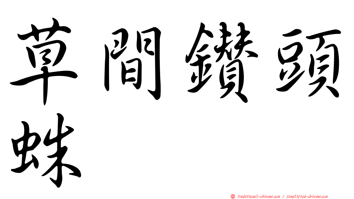 草間鑽頭蛛
