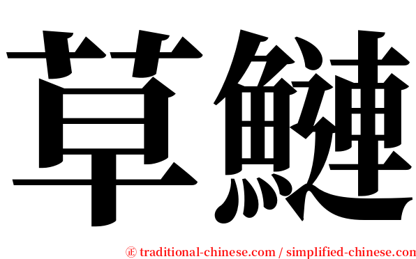草鰱 serif font