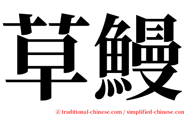 草鰻 serif font