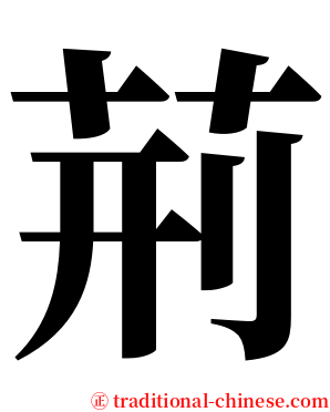荊 serif font