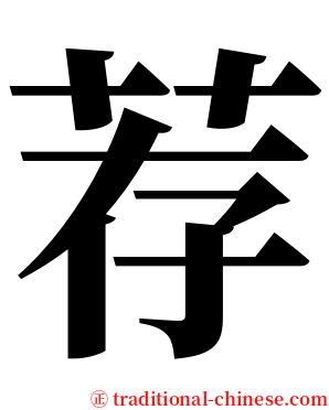 荐 serif font