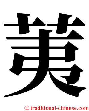 荑 serif font