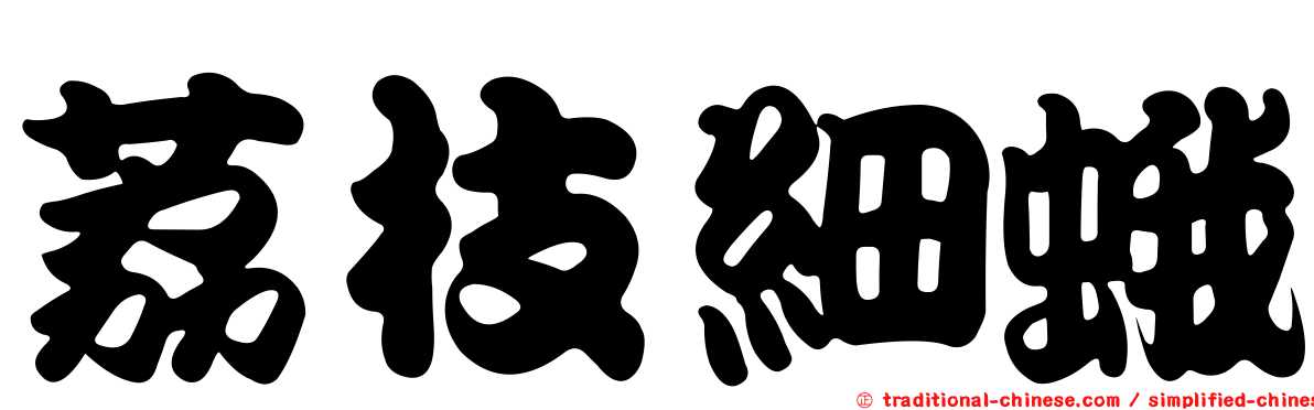 荔枝細蛾