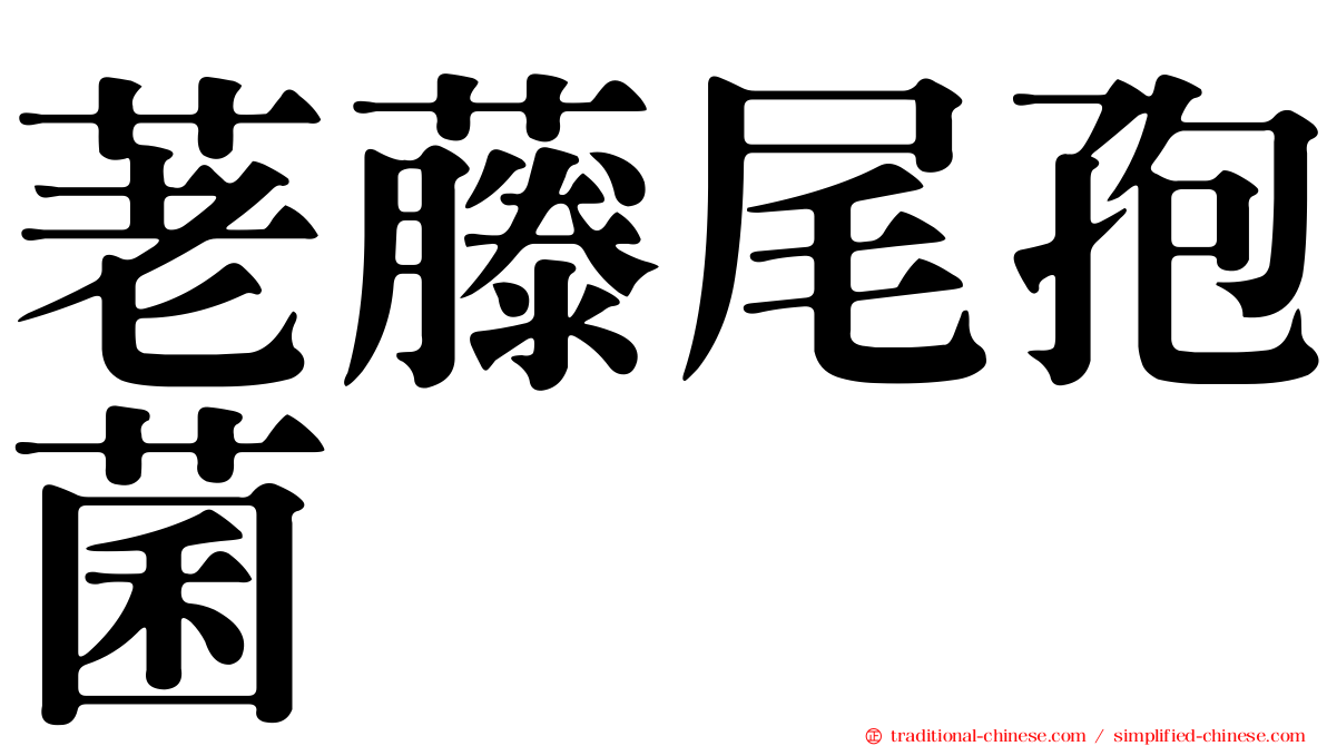 荖藤尾孢菌