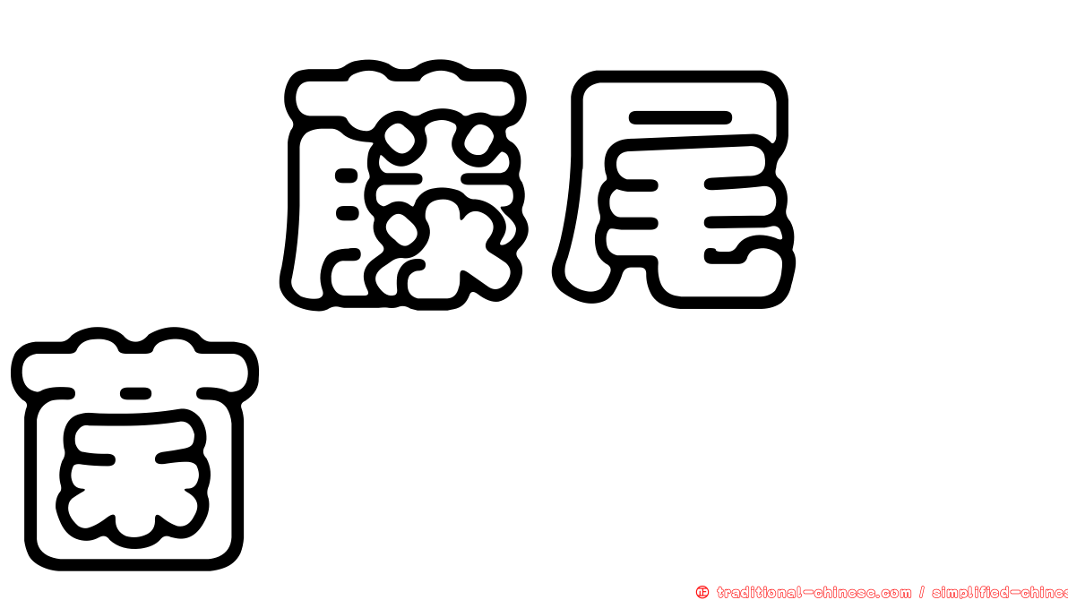 荖藤尾孢菌