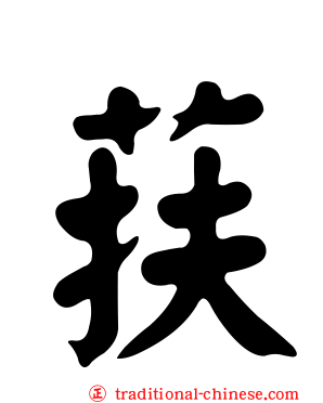 荴