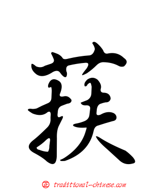 荴