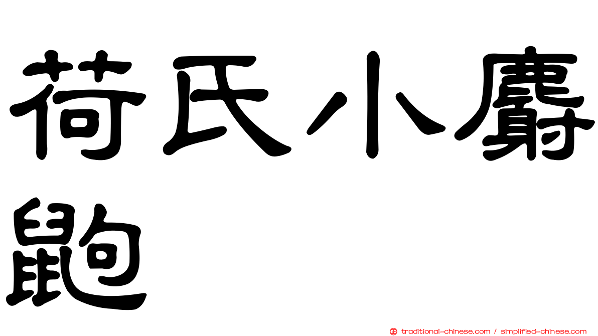 荷氏小麝鼩