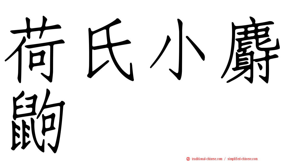 荷氏小麝鼩