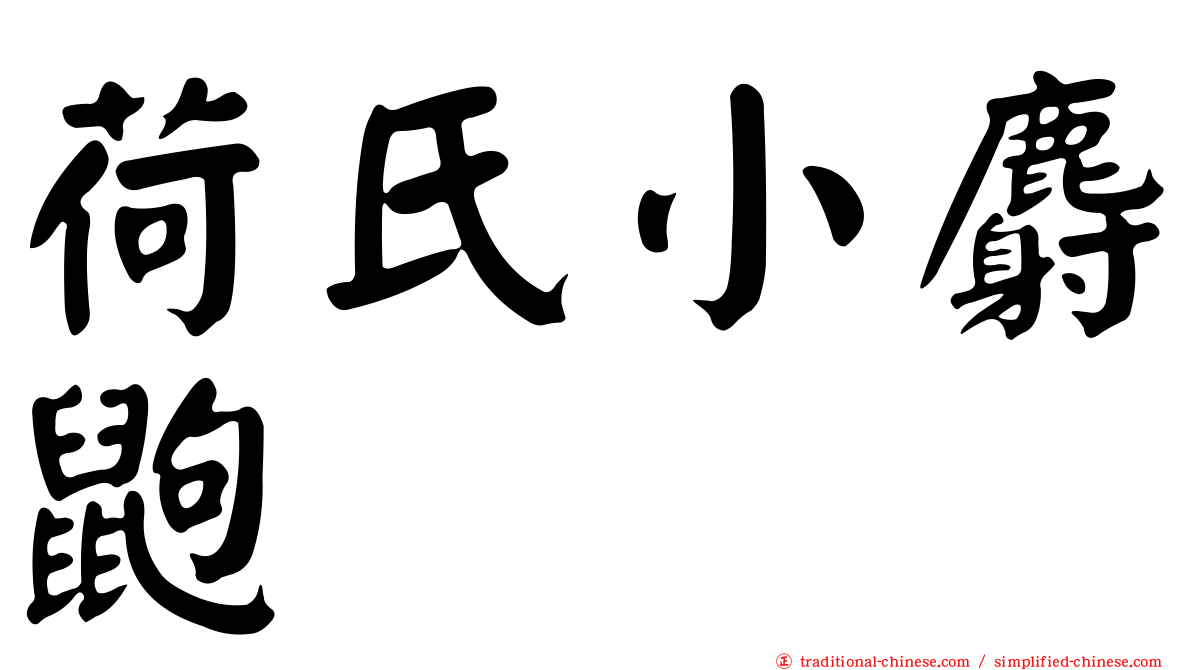 荷氏小麝鼩