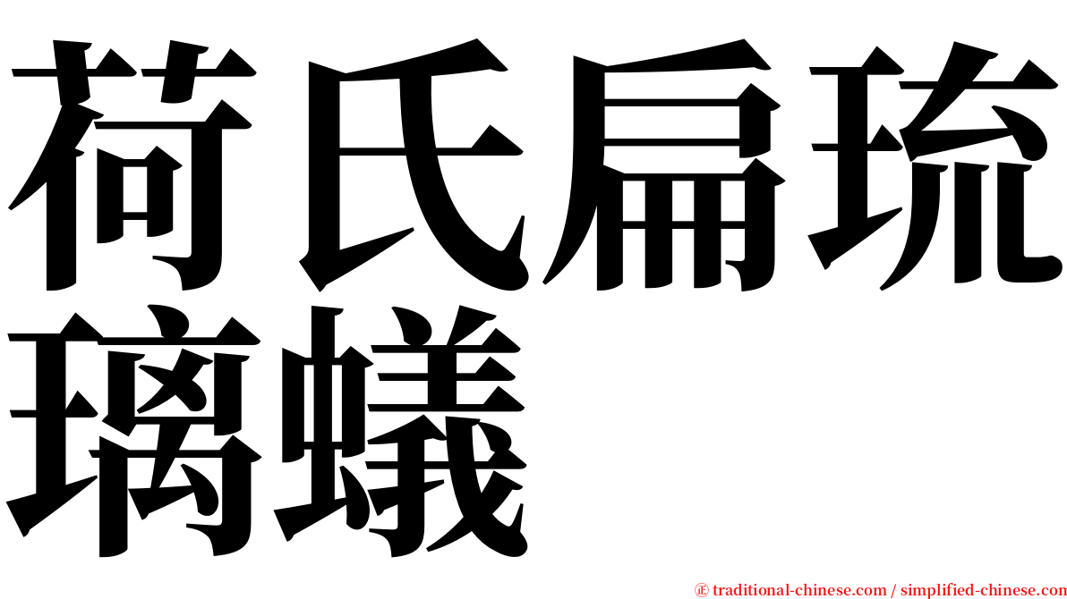 荷氏扁琉璃蟻 serif font