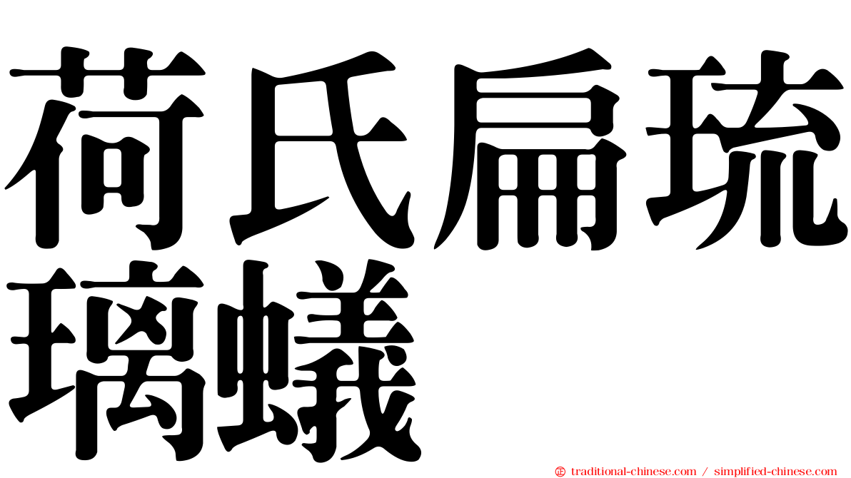 荷氏扁琉璃蟻