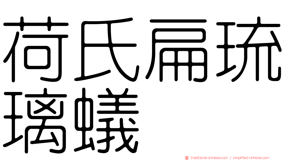 荷氏扁琉璃蟻