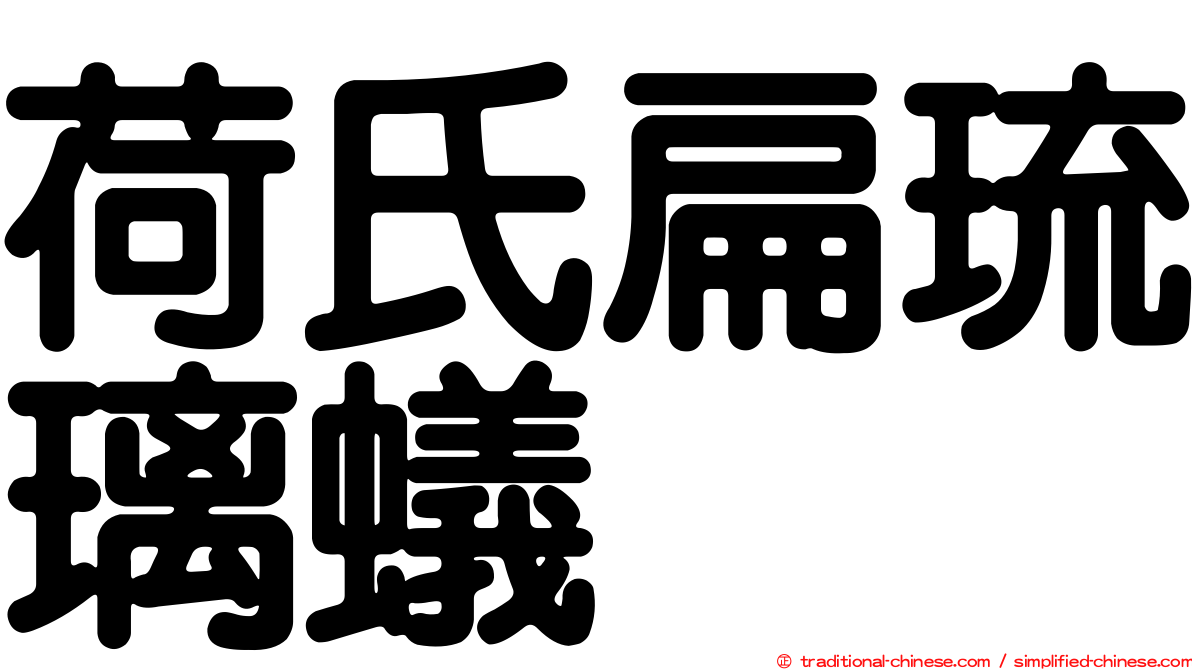 荷氏扁琉璃蟻