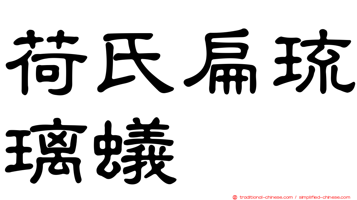 荷氏扁琉璃蟻
