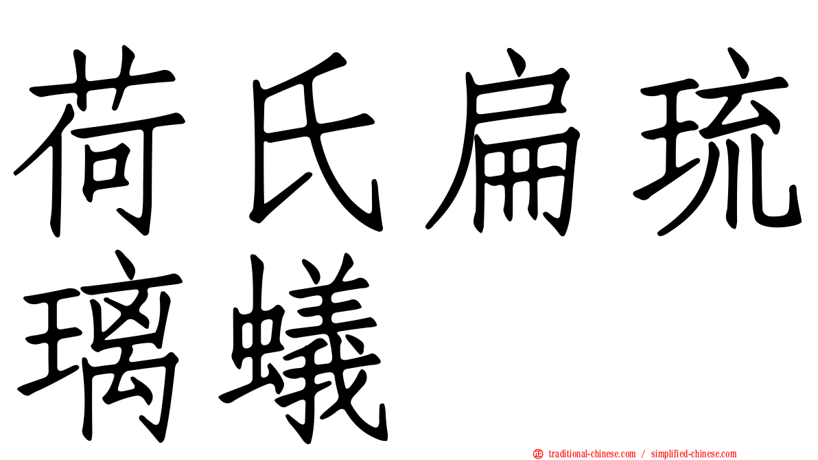 荷氏扁琉璃蟻