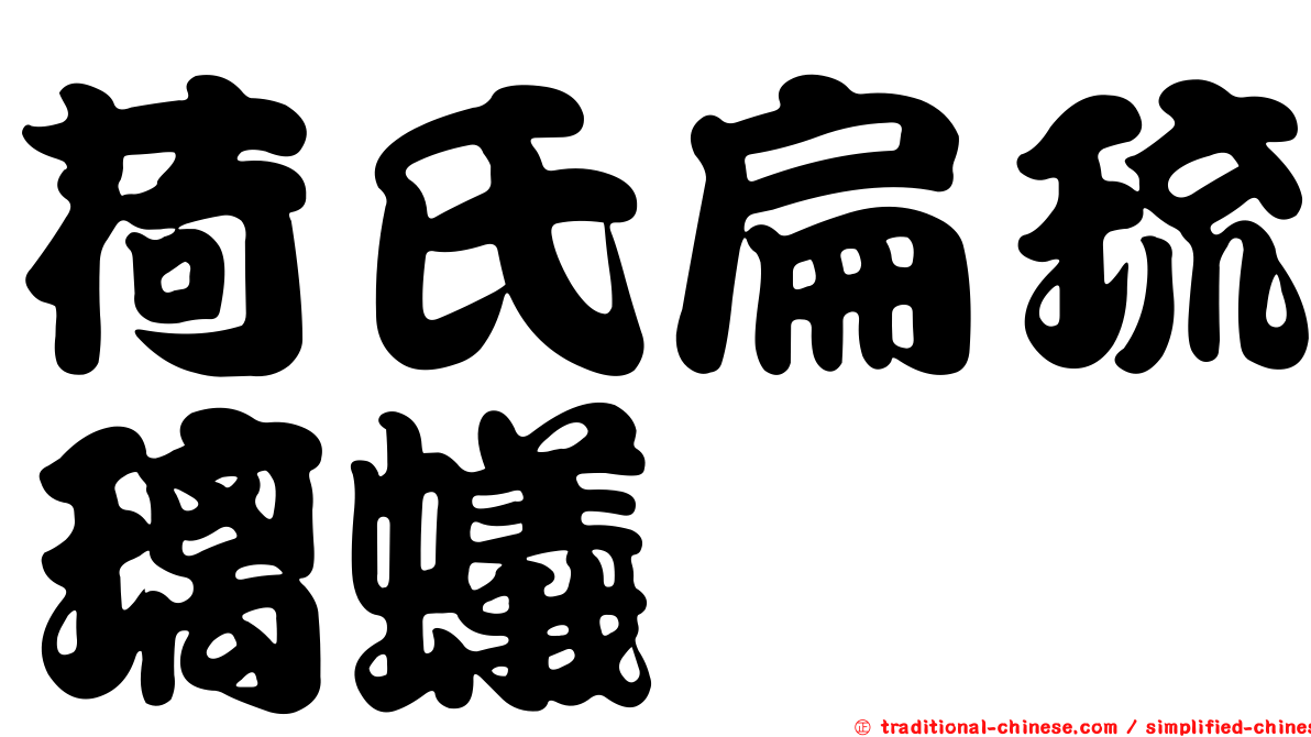 荷氏扁琉璃蟻